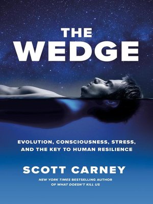 cover image of The Wedge